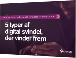 5 typer af digital svindel der vinder frem