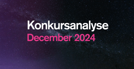 konkursanalyse_december 2024